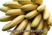 国产香蕉,甜蜜滋味，绿色健康之旅