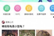 九一网页版免费在线电脑网页版,免费在线电脑网页版深度解析